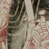 Detalle del dibujo Mujer y olivo de Montse Noguera